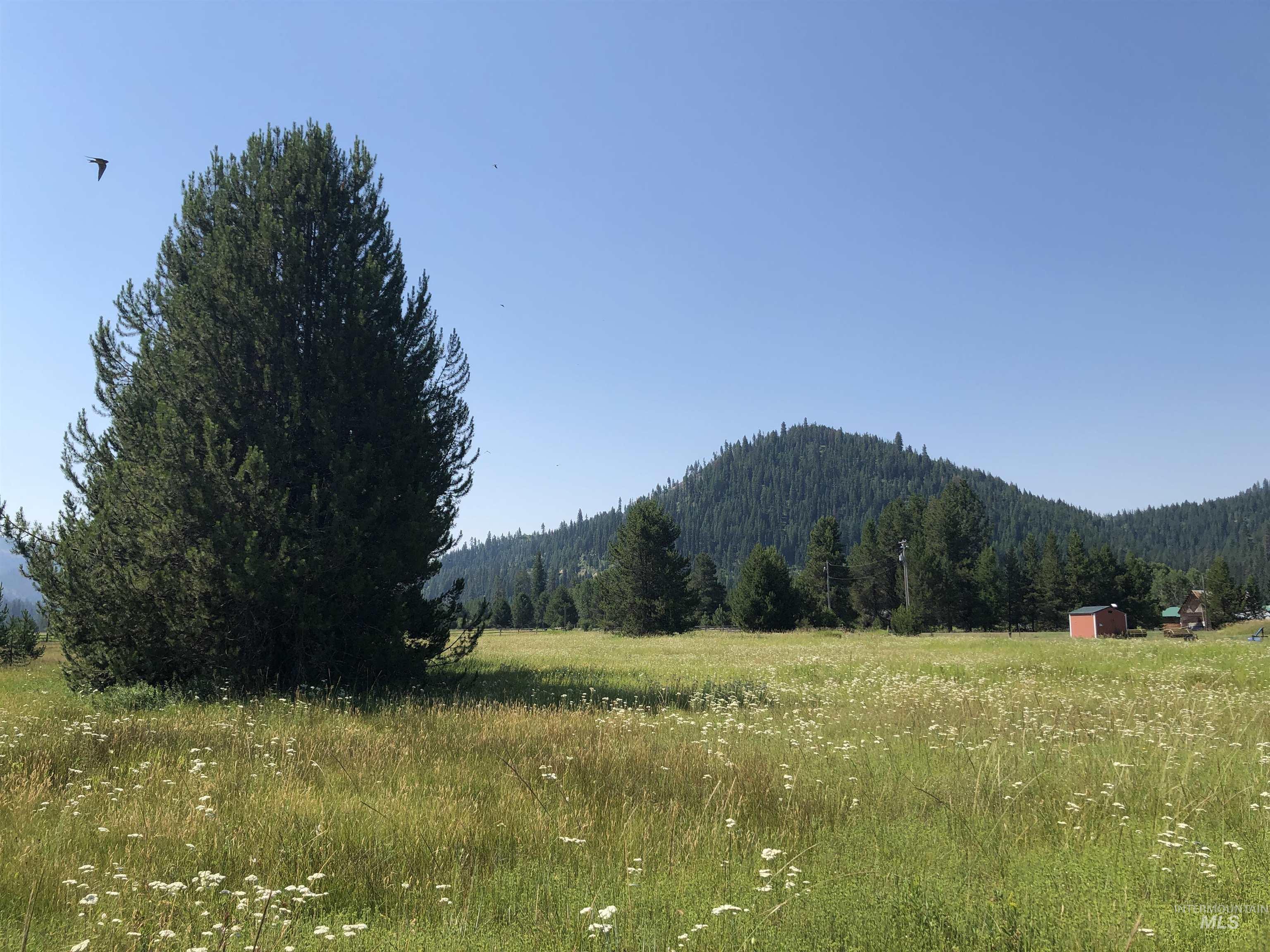 16 & 14 Smiths Ferry Dr, Cascade, Idaho 83611, Land For Sale, Price $775,000,MLS 98891443