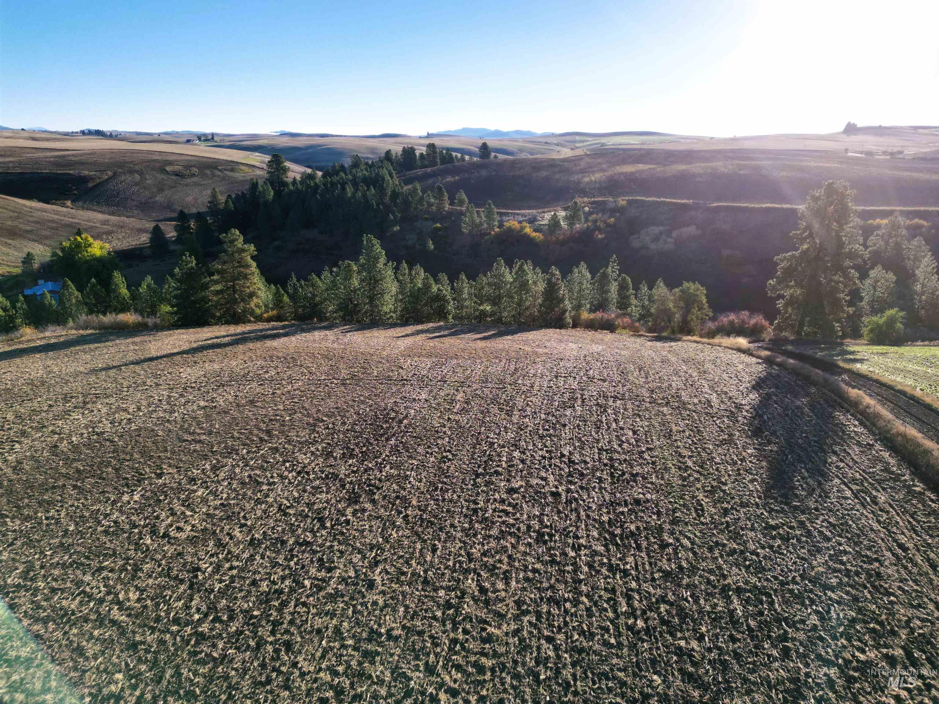 000 Reil/South/Parks Rd., Kendrick, Idaho 83537, Land For Sale, Price $499,999,MLS 98891804