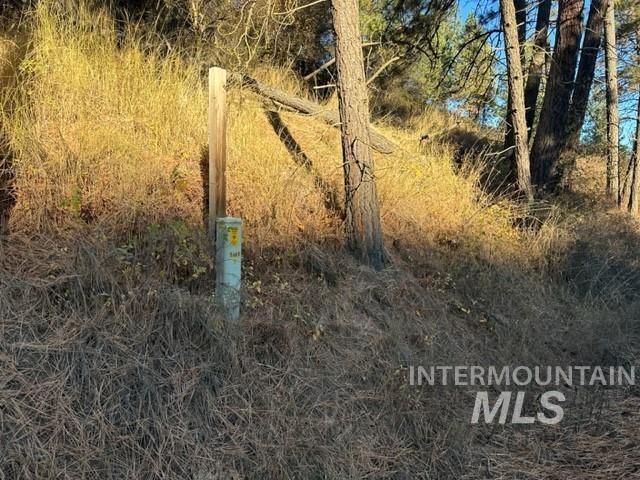 000 Reil/South/Parks Rd., Kendrick, Idaho 83537, Land For Sale, Price $499,999,MLS 98891804