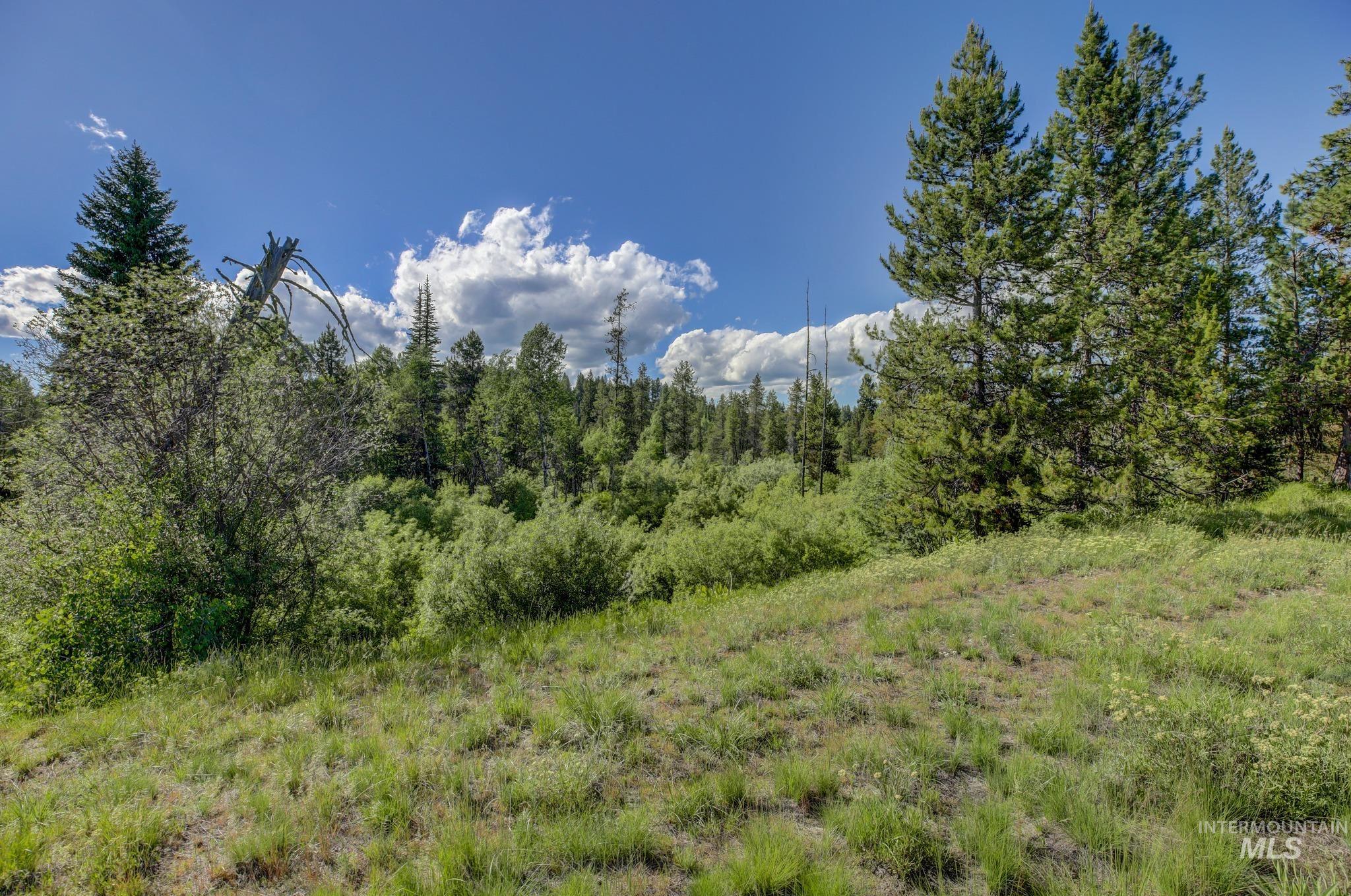 Lot 61 River Ranch Road, McCall, Idaho 83638, Land For Sale, Price $995,000,MLS 98891990
