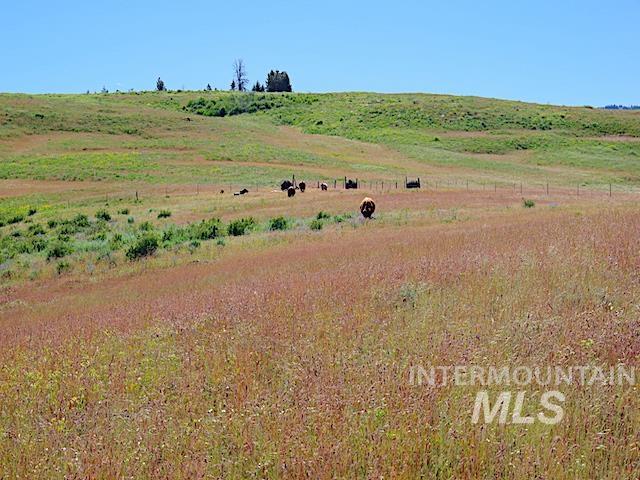 TBD North Grays Creek Road, Indian Valley, Idaho 83632, Land For Sale, Price $968,750, 98892572