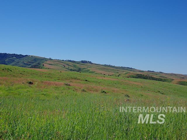 TBD North Grays Creek Road, Indian Valley, Idaho 83632, Land For Sale, Price $968,750, 98892572