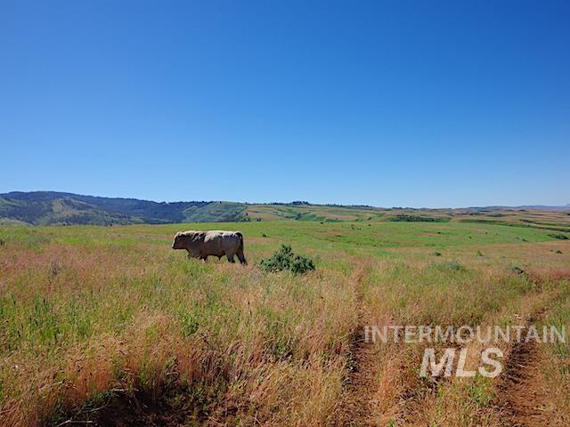TBD North Grays Creek Road, Indian Valley, Idaho 83632, Land For Sale, Price $968,750, 98892572