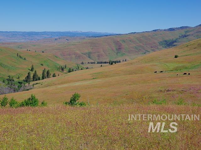 TBD North Grays Creek Road, Indian Valley, Idaho 83632, Land For Sale, Price $968,750, 98892572