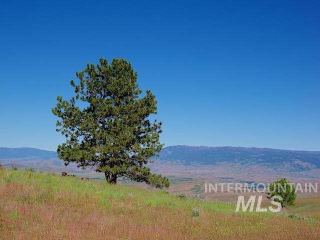 TBD North Grays Creek Road, Indian Valley, Idaho 83632, Land For Sale, Price $968,750, 98892572