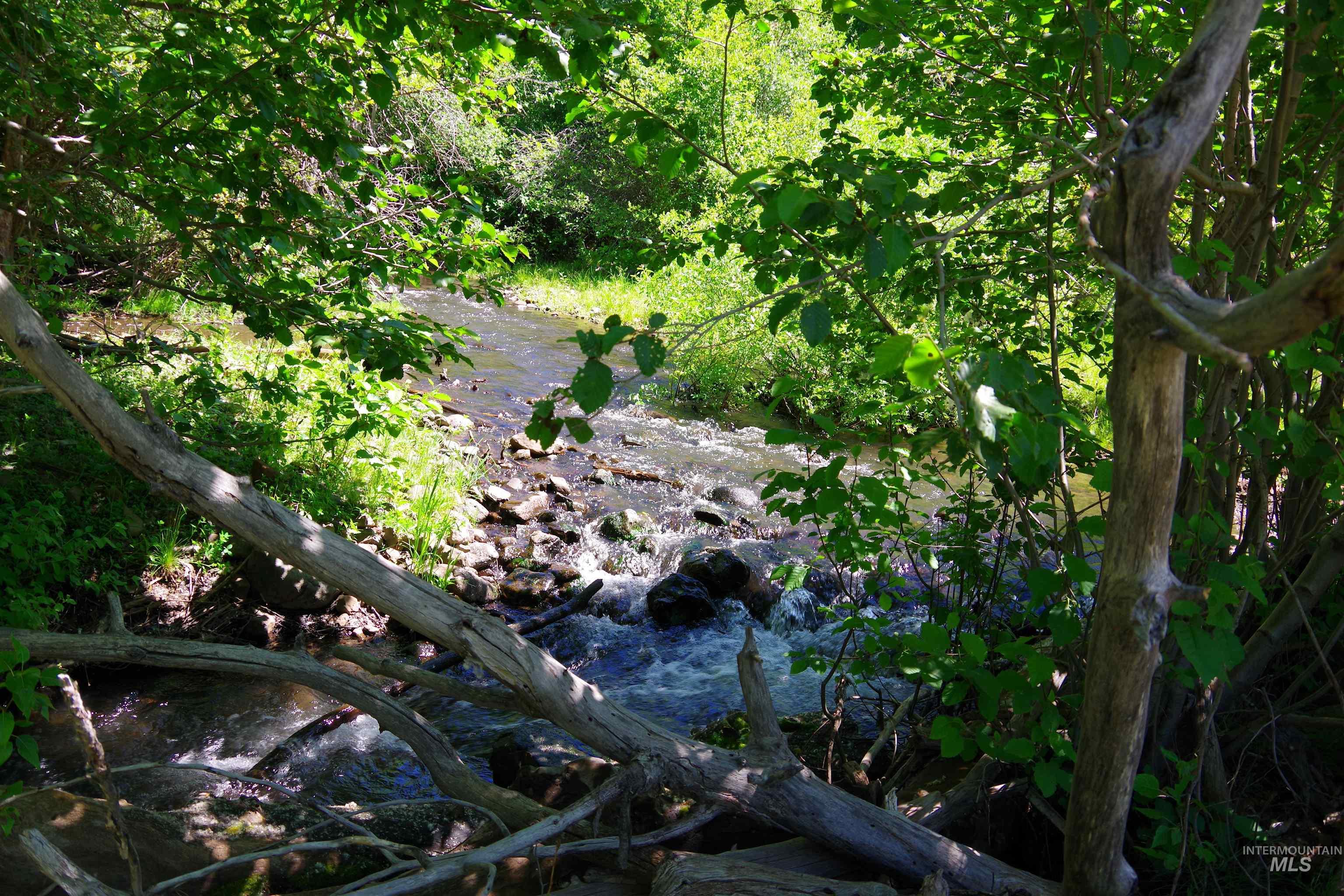 TBD North Grays Creek Road, Indian Valley, Idaho 83632, Land For Sale, Price $968,750, 98892572