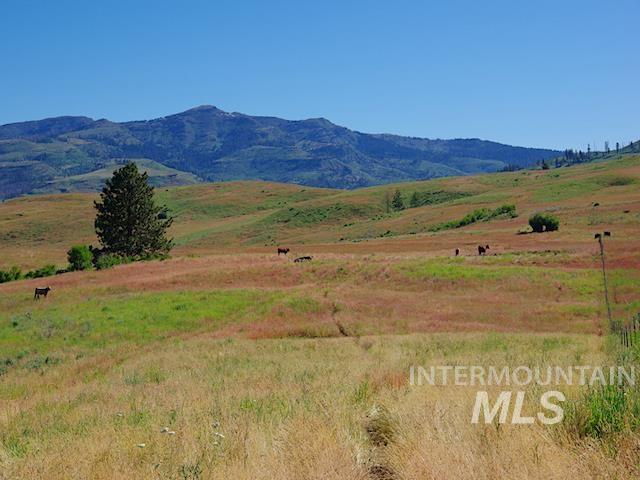 TBD North Grays Creek Road, Indian Valley, Idaho 83632, Land For Sale, Price $968,750, 98892572