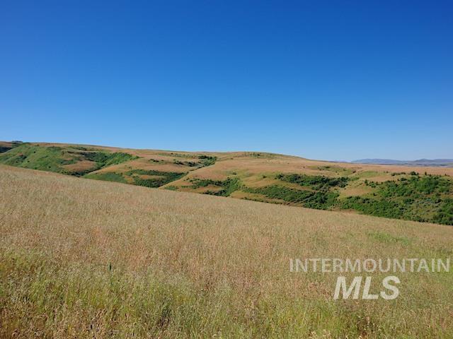 TBD North Grays Creek Road, Indian Valley, Idaho 83632, Land For Sale, Price $968,750, 98892572