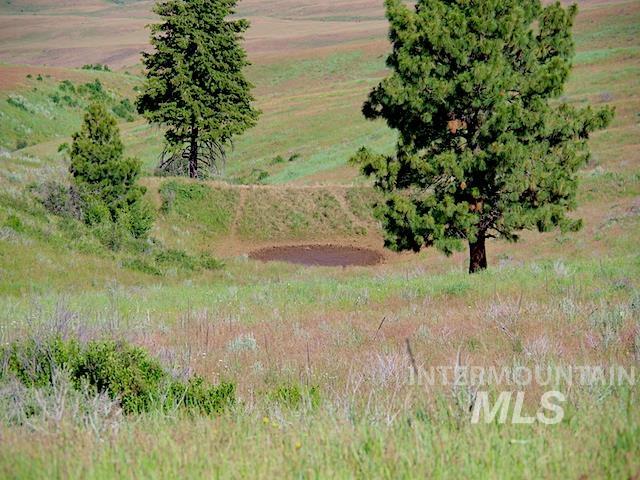 TBD North Grays Creek Road, Indian Valley, Idaho 83632, Land For Sale, Price $968,750, 98892572