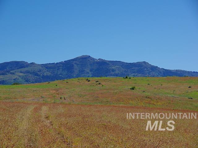 TBD North Grays Creek Road, Indian Valley, Idaho 83632, Land For Sale, Price $968,750, 98892572