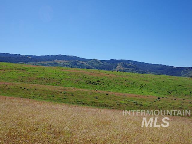 TBD North Grays Creek Road, Indian Valley, Idaho 83632, Land For Sale, Price $968,750, 98892572