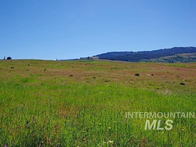 TBD North Grays Creek Road, Indian Valley, Idaho 83632, Land For Sale, Price $968,750, 98892572