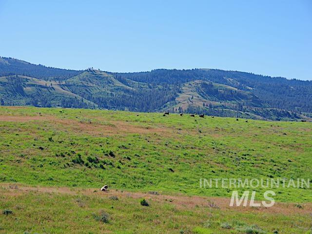 TBD North Grays Creek Road, Indian Valley, Idaho 83632, Land For Sale, Price $968,750, 98892572