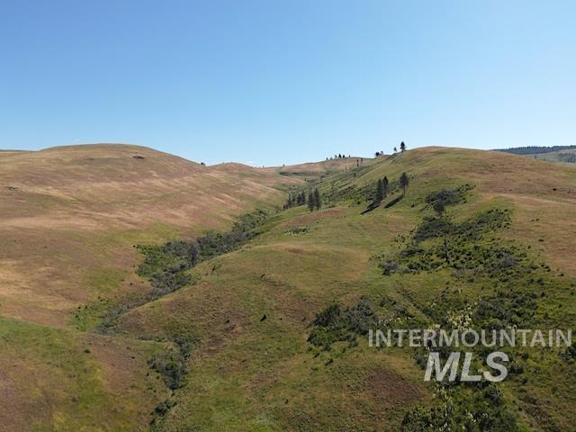 TBD North Grays Creek Road, Indian Valley, Idaho 83632, Land For Sale, Price $968,750, 98892572