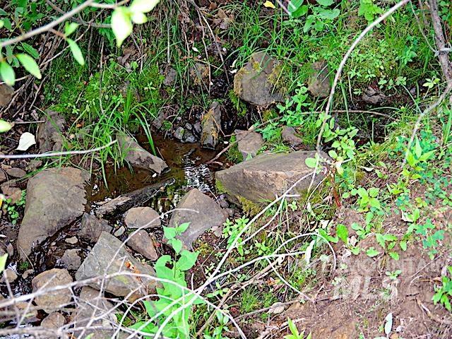 TBD North Grays Creek Road, Indian Valley, Idaho 83632, Land For Sale, Price $968,750, 98892572