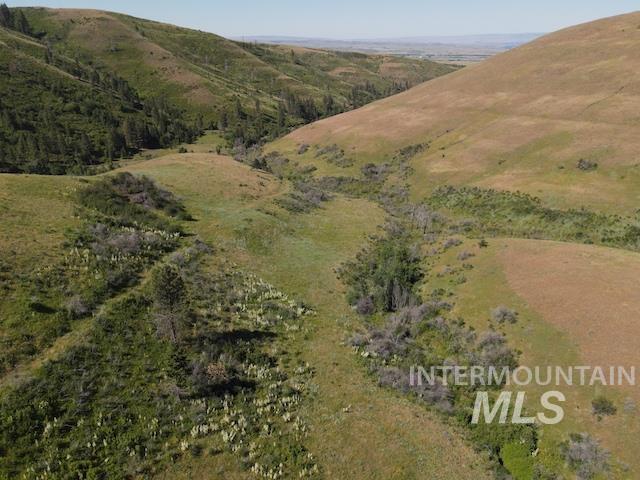 TBD North Grays Creek Road, Indian Valley, Idaho 83632, Land For Sale, Price $968,750, 98892572