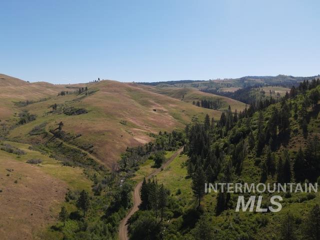 TBD North Grays Creek Road, Indian Valley, Idaho 83632, Land For Sale, Price $968,750, 98892572