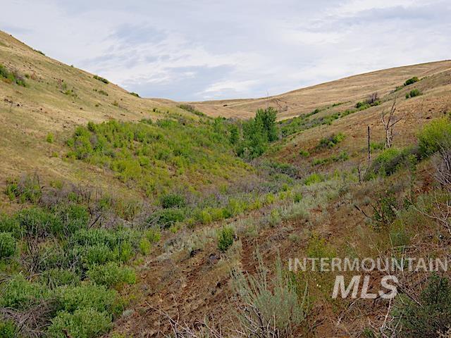 TBD North Grays Creek Road, Indian Valley, Idaho 83632, Land For Sale, Price $968,750, 98892572