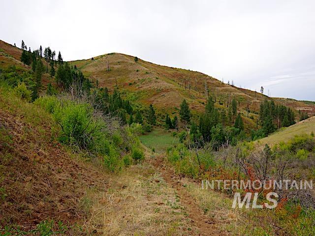TBD North Grays Creek Road, Indian Valley, Idaho 83632, Land For Sale, Price $968,750, 98892572