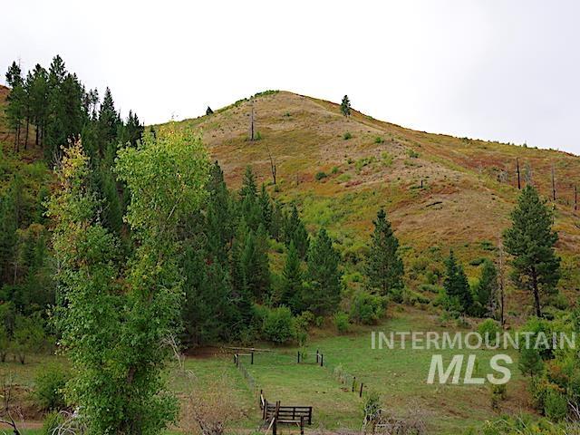 TBD North Grays Creek Road, Indian Valley, Idaho 83632, Land For Sale, Price $968,750, 98892572