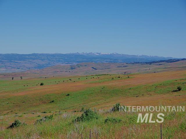 TBD North Grays Creek Road, Indian Valley, Idaho 83632, Land For Sale, Price $968,750, 98892572