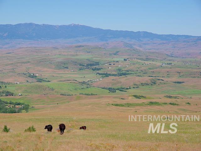 TBD North Grays Creek Road, Indian Valley, Idaho 83632, Land For Sale, Price $968,750, 98892572