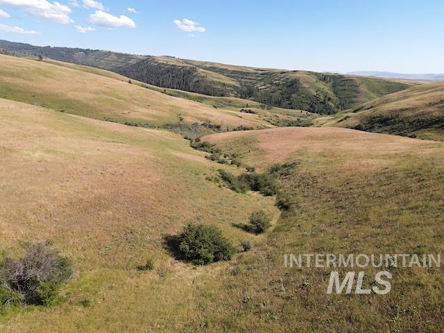 TBD North Grays Creek Road, Indian Valley, Idaho 83632, Land For Sale, Price $968,750, 98892572