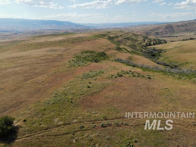 TBD North Grays Creek Road, Indian Valley, Idaho 83632, Land For Sale, Price $968,750, 98892572