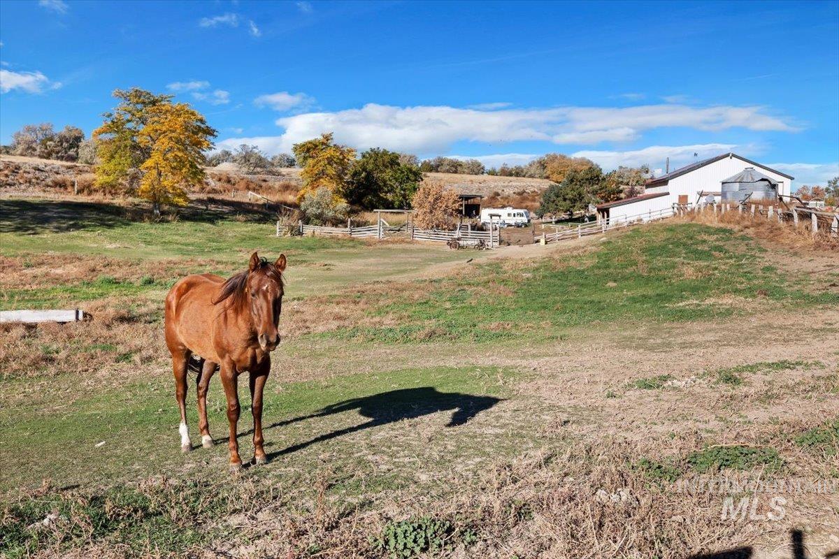 1731 E 3900 N, Buhl, Idaho 83316-6111, 1 Bedroom, 1 Bathroom, Farm & Ranch For Sale, Price $2,300,000, 98892975