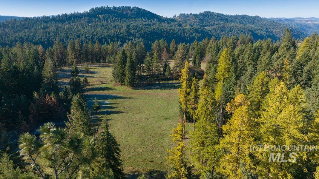 NKA 320acs Summer Rd, Orofino, Idaho 83544, Land For Sale, Price $2,200,000, 98893920