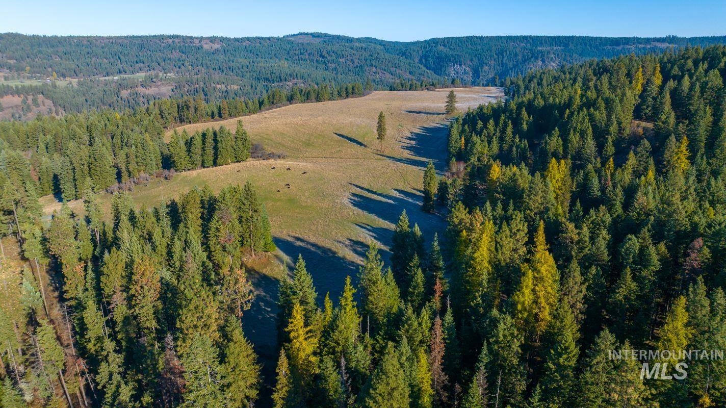 NKA 320acs Summer Rd, Orofino, Idaho 83544, Land For Sale, Price $2,200,000, 98893920