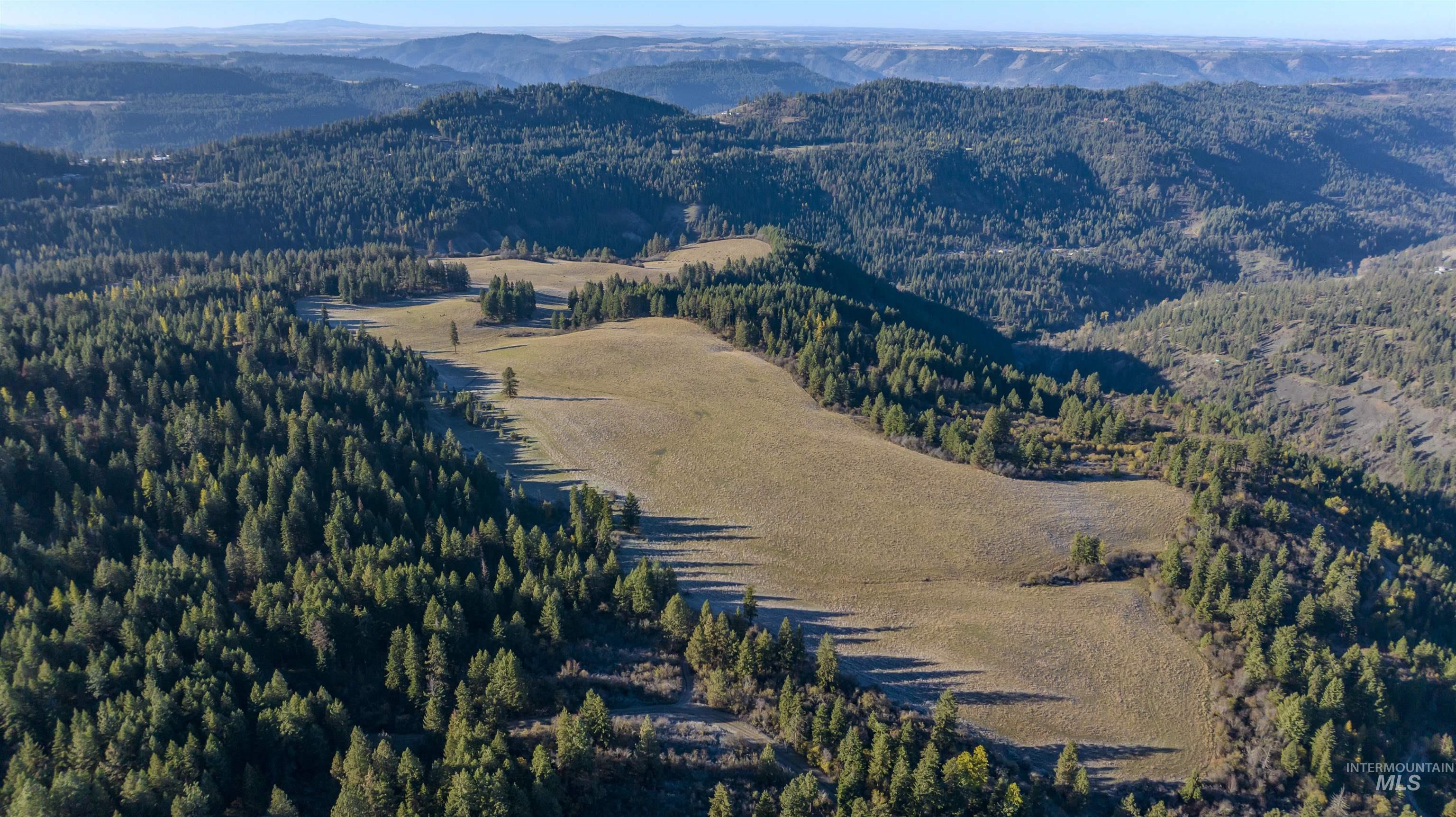 NKA 320acs Summer Rd, Orofino, Idaho 83544, Land For Sale, Price $2,400,000, 98893920