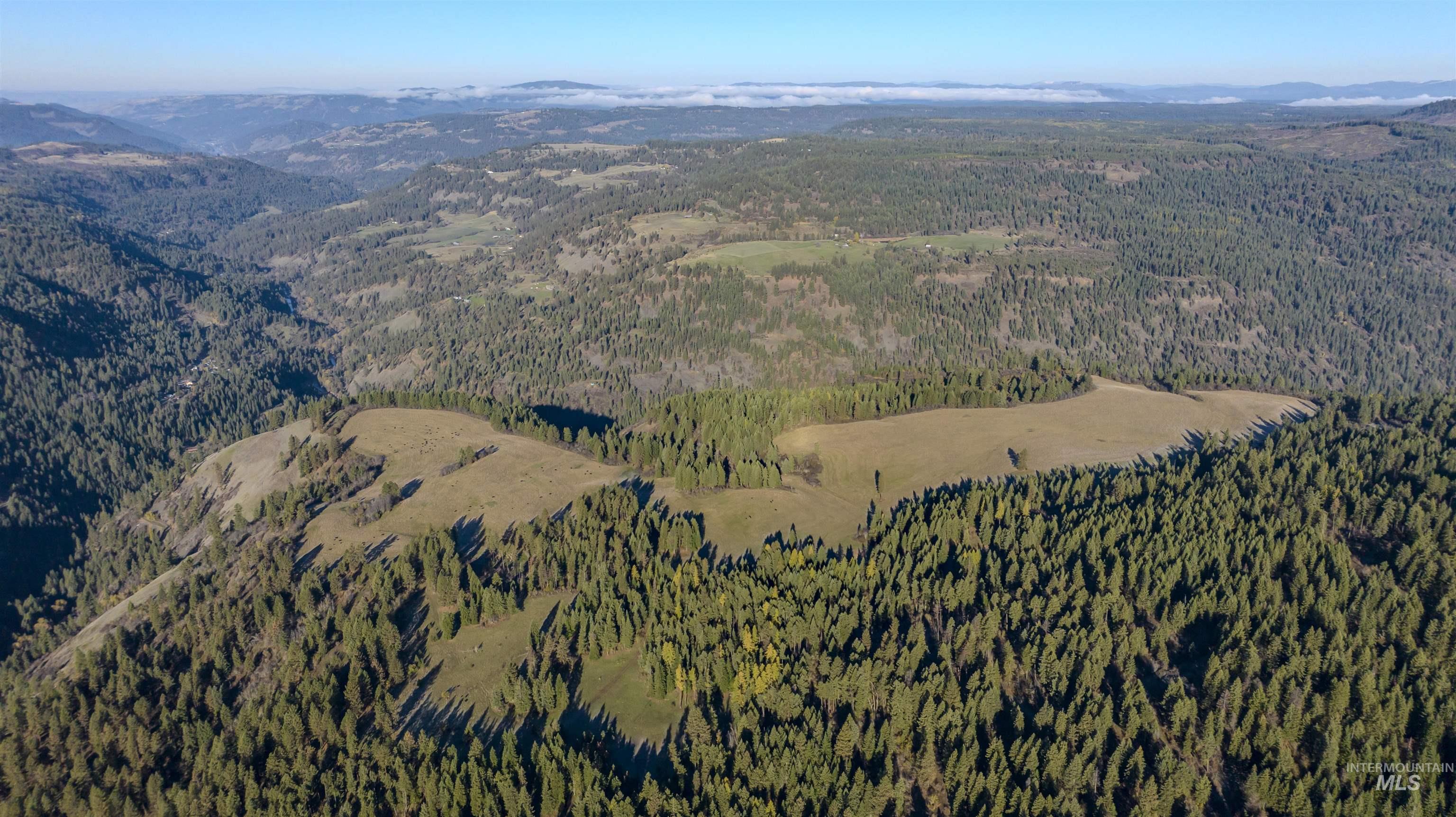 NKA 320acs Summer Rd, Orofino, Idaho 83544, Land For Sale, Price $2,400,000, 98893920