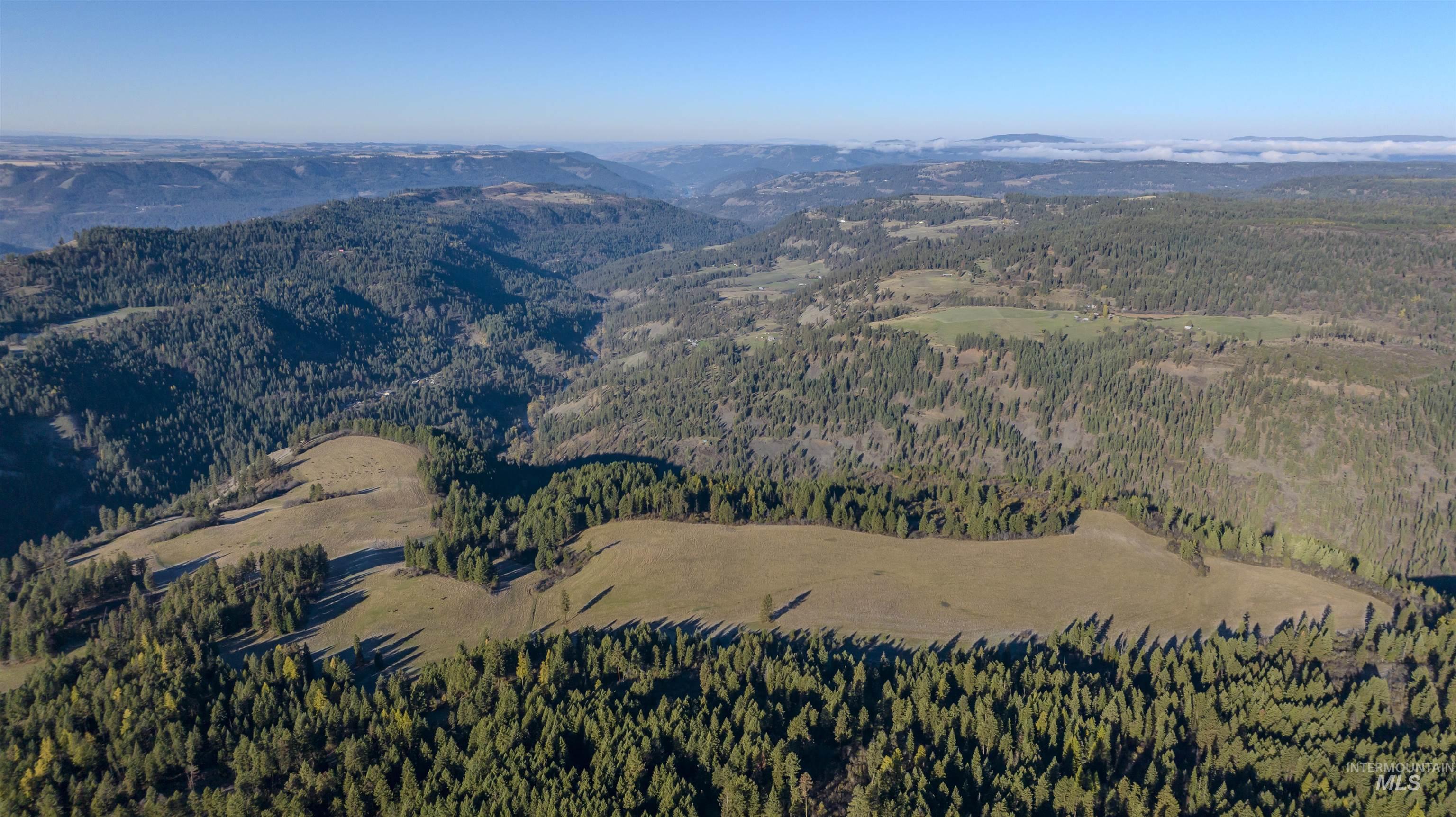 NKA 320acs Summer Rd, Orofino, Idaho 83544, Land For Sale, Price $2,200,000, 98893920