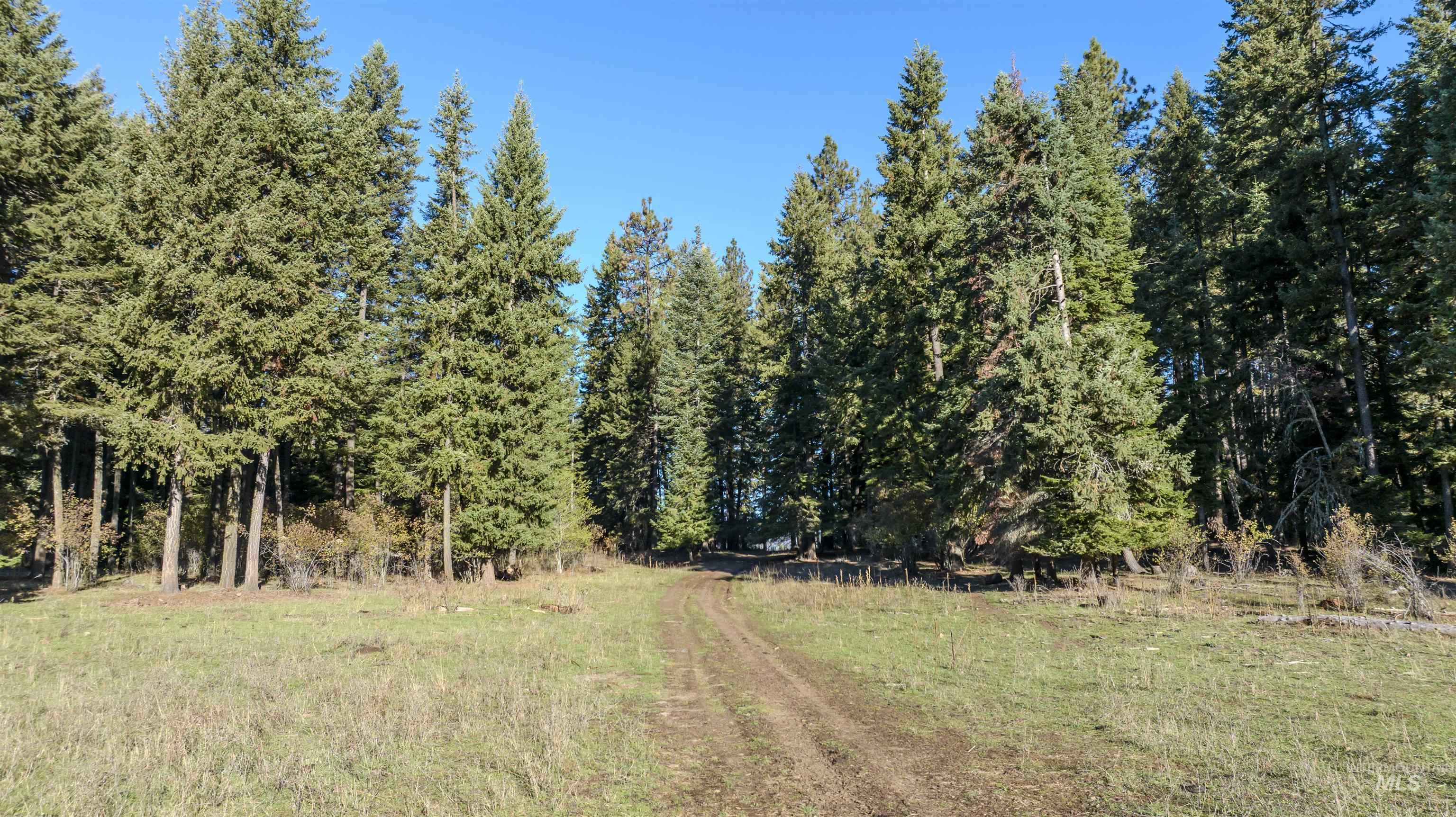 NKA 320acs Summer Rd, Orofino, Idaho 83544, Land For Sale, Price $2,200,000, 98893920
