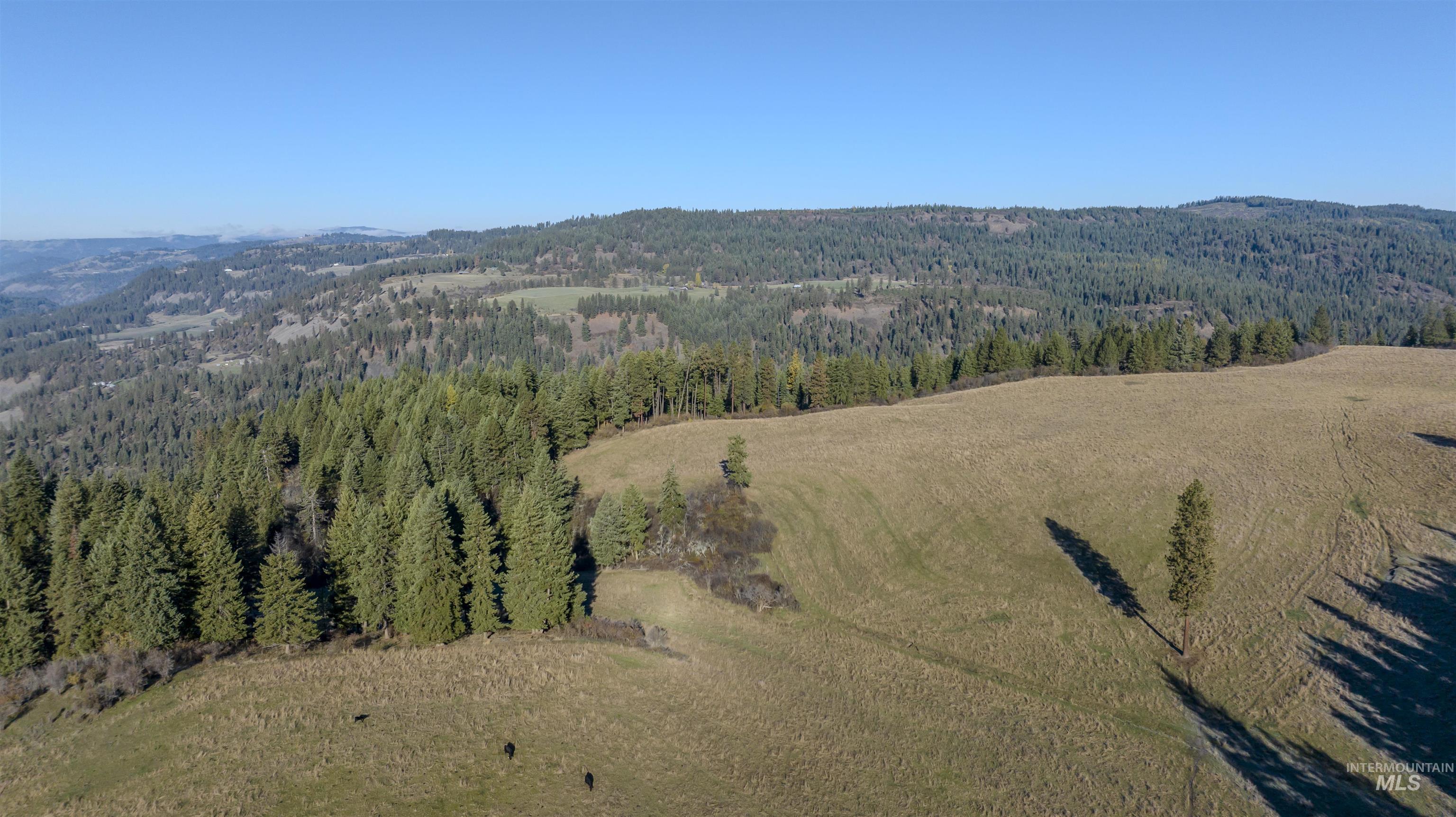 NKA 320acs Summer Rd, Orofino, Idaho 83544, Land For Sale, Price $2,200,000, 98893920