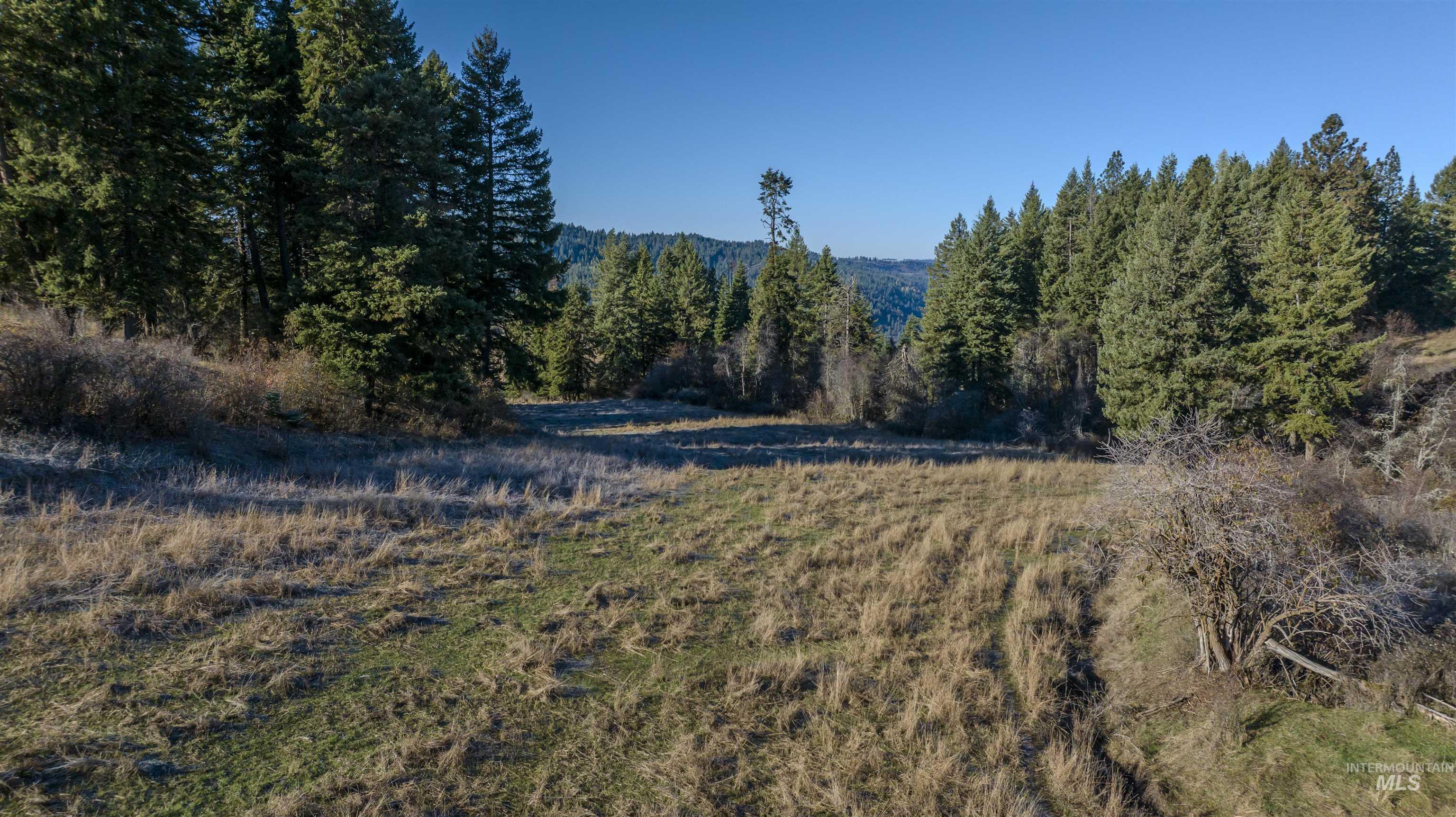 NKA 320acs Summer Rd, Orofino, Idaho 83544, Land For Sale, Price $2,200,000, 98893920