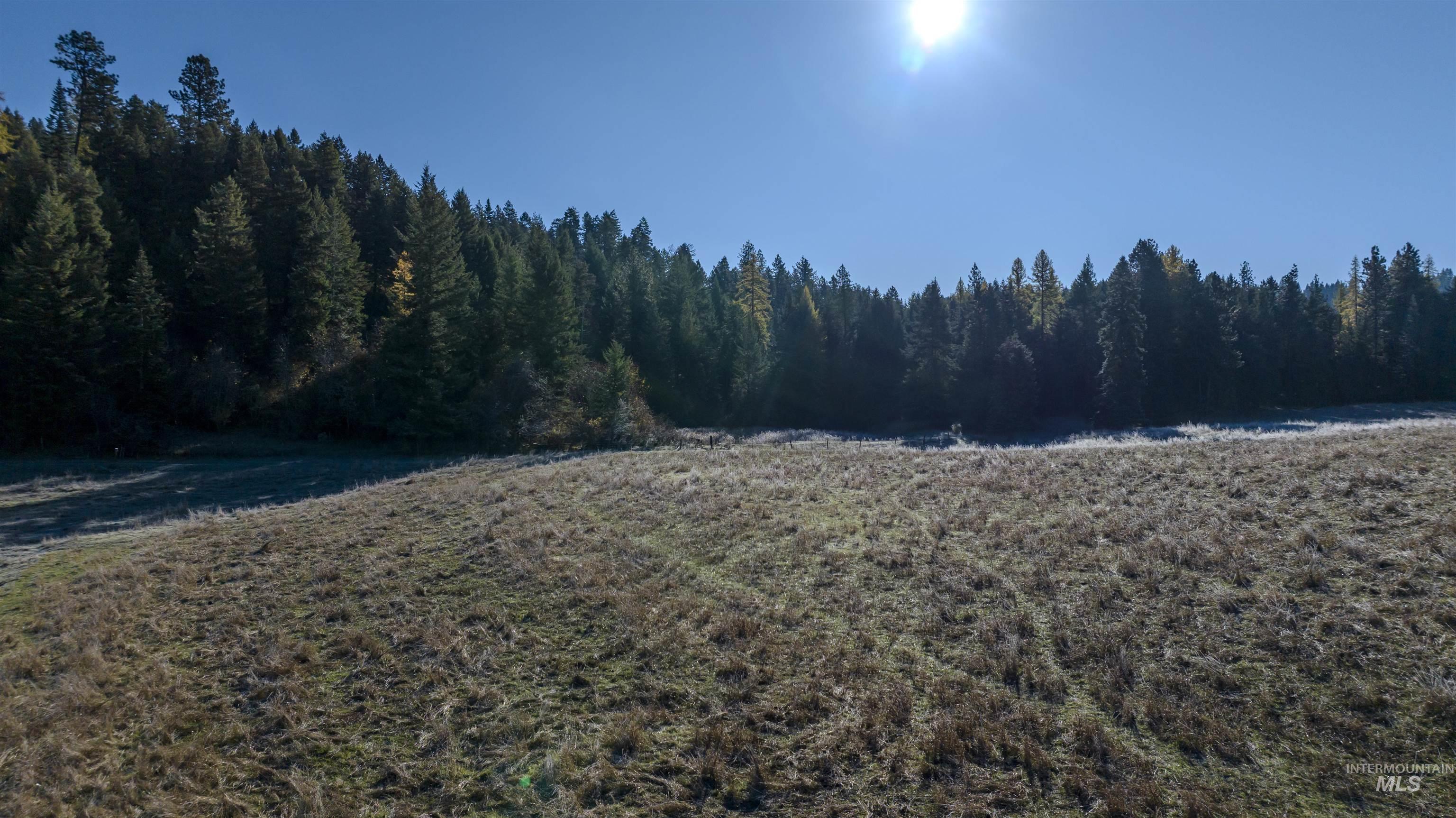 NKA 320acs Summer Rd, Orofino, Idaho 83544, Land For Sale, Price $2,200,000, 98893920