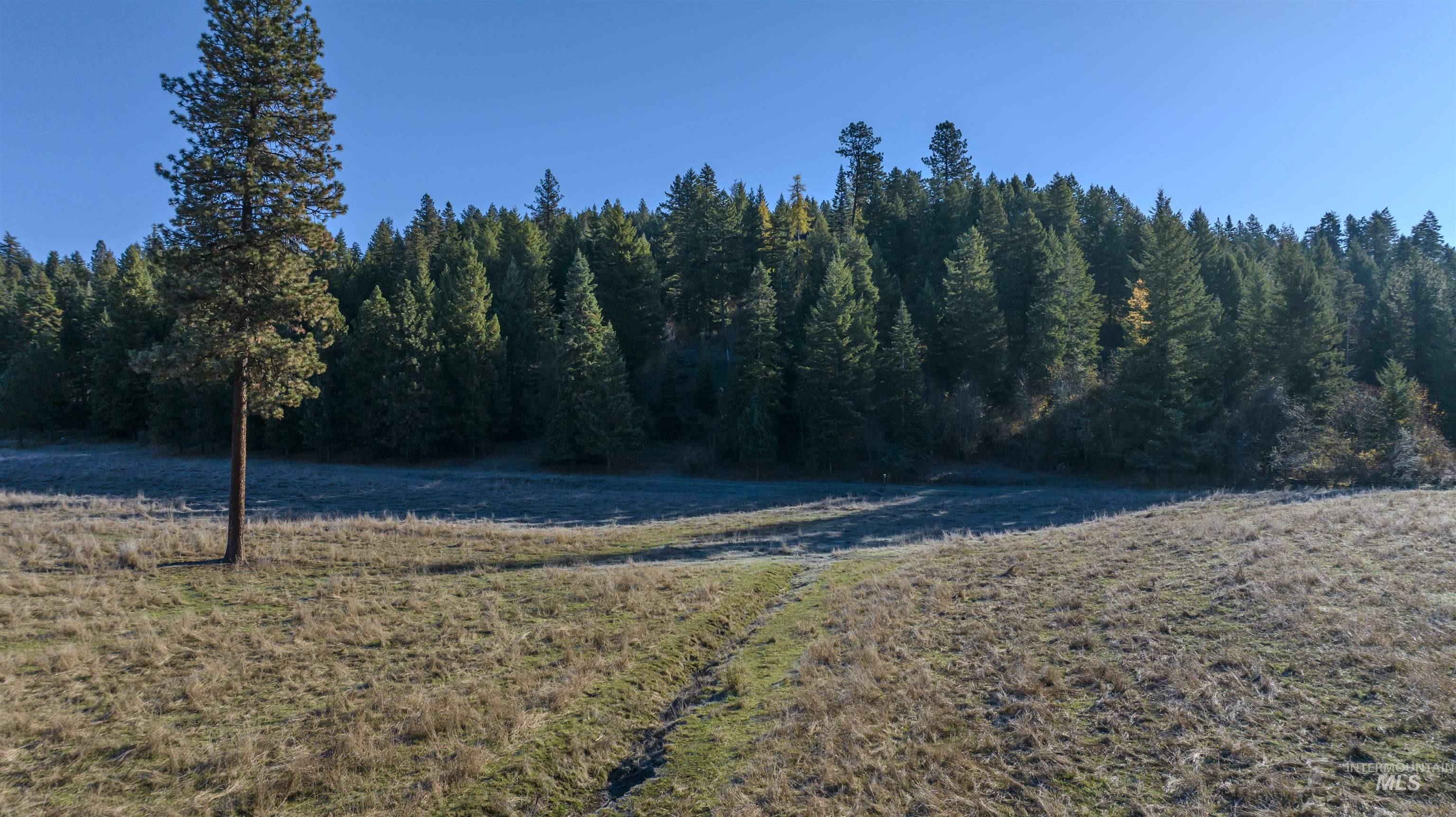 NKA 320acs Summer Rd, Orofino, Idaho 83544, Land For Sale, Price $2,200,000, 98893920