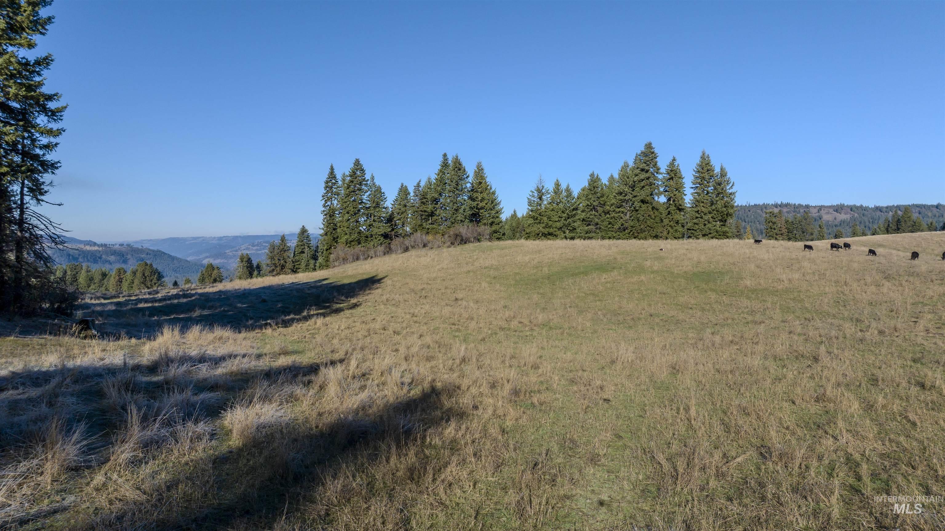 NKA 320acs Summer Rd, Orofino, Idaho 83544, Land For Sale, Price $2,200,000, 98893920