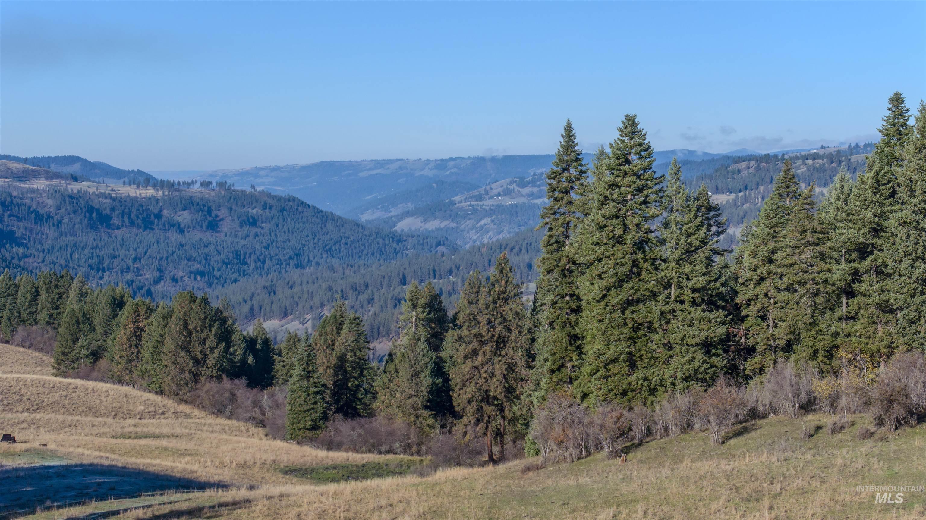 NKA 320acs Summer Rd, Orofino, Idaho 83544, Land For Sale, Price $2,200,000, 98893920