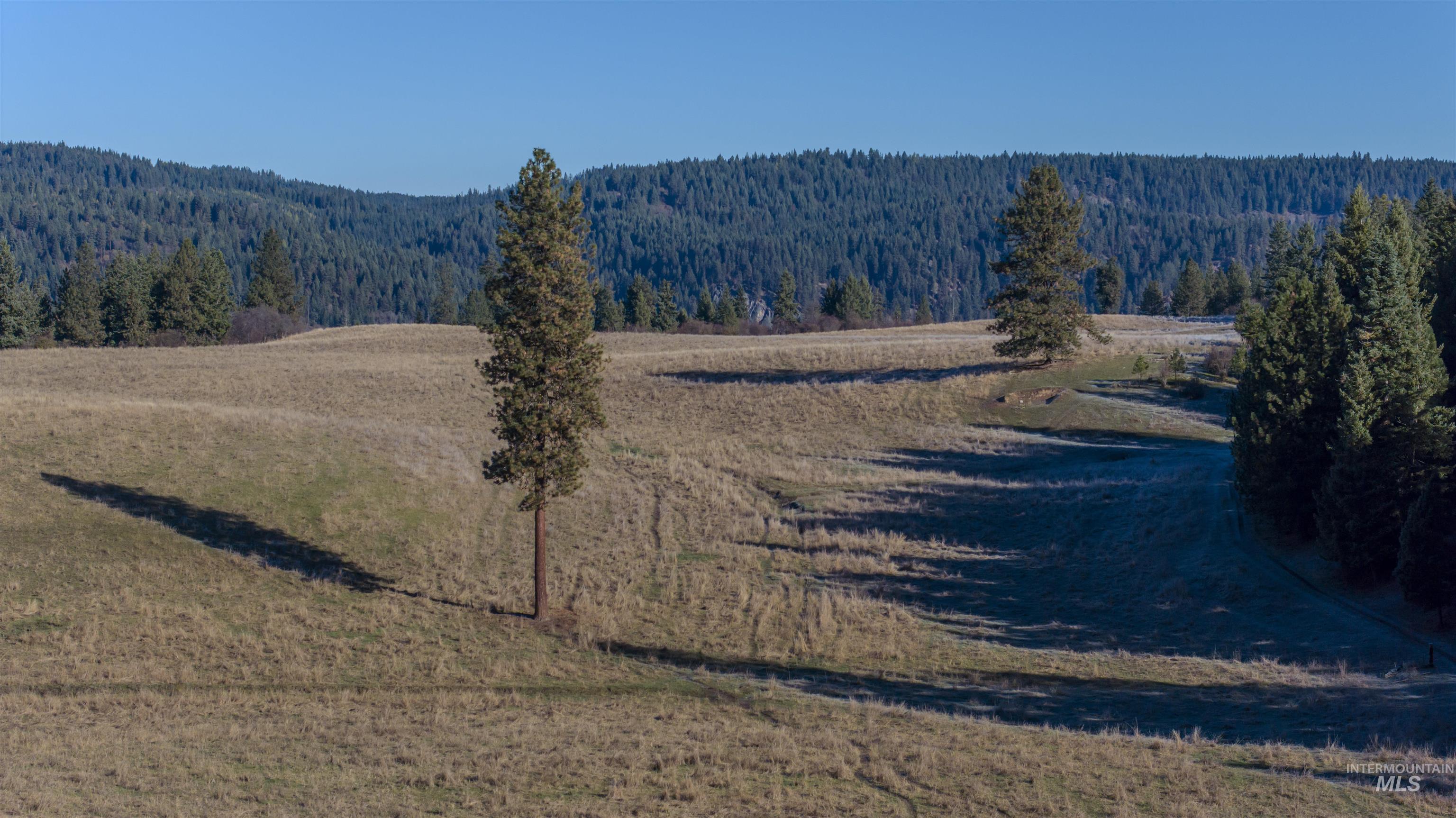 NKA 320acs Summer Rd, Orofino, Idaho 83544, Land For Sale, Price $2,200,000, 98893920