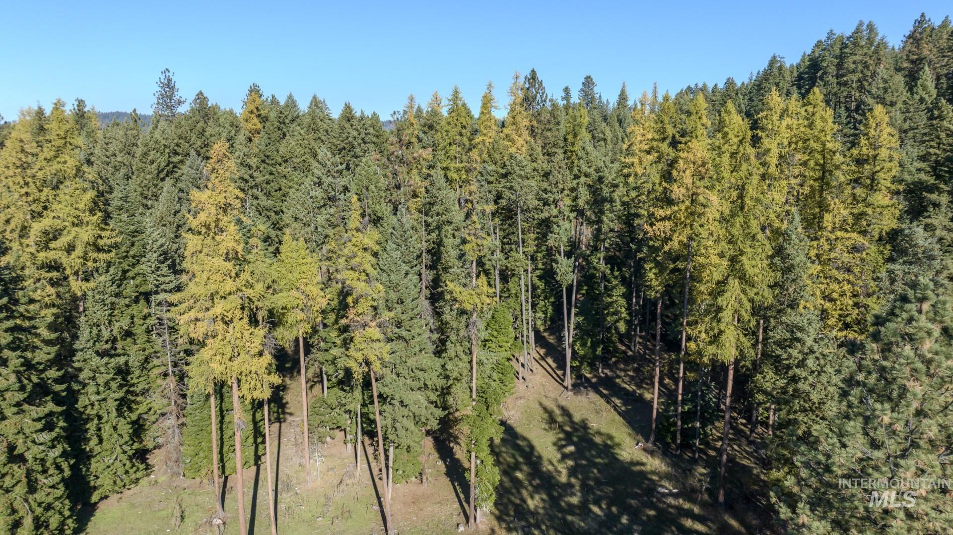 NKA 320acs Summer Rd, Orofino, Idaho 83544, Land For Sale, Price $2,200,000, 98893920