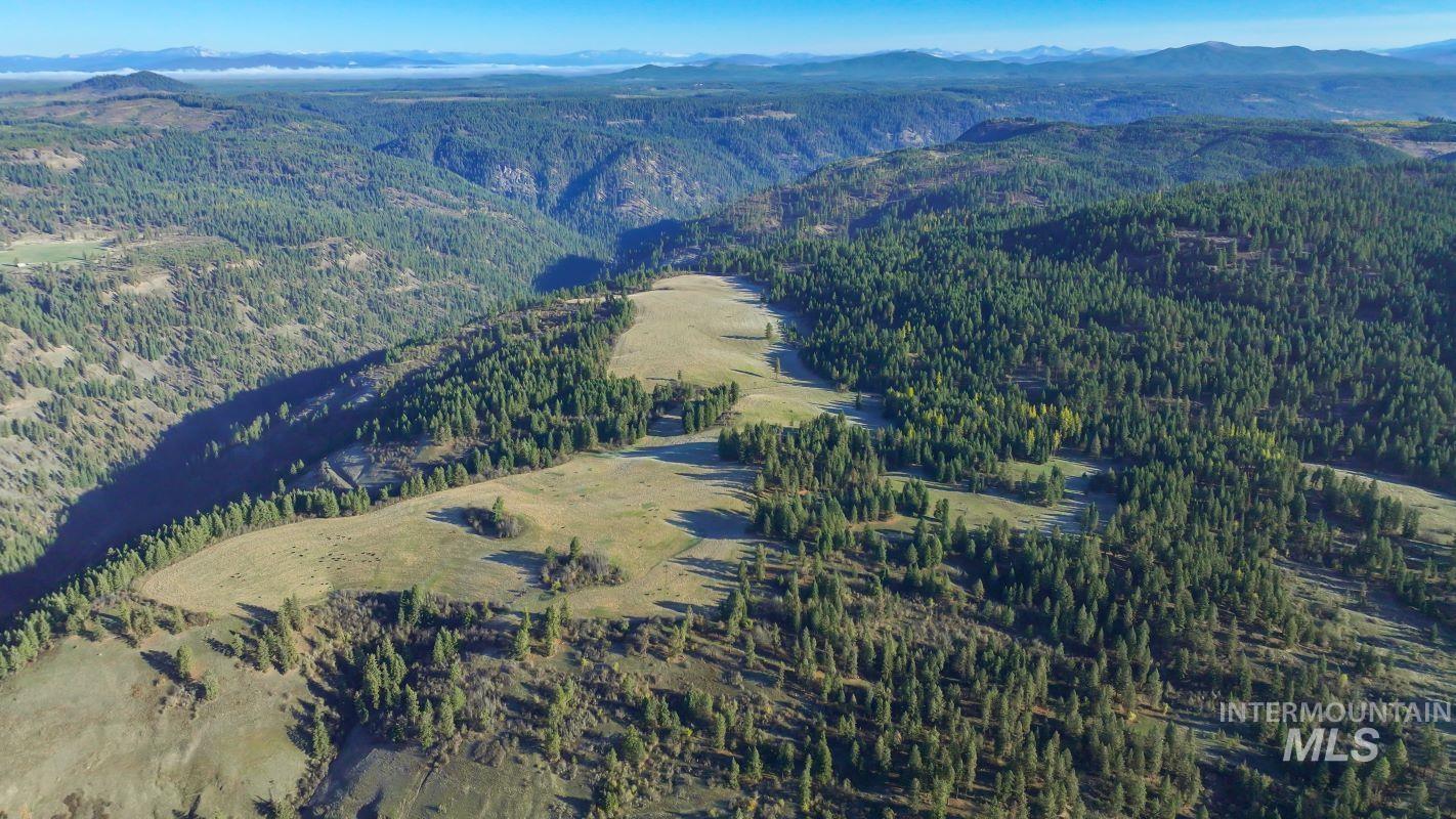 NKA 320acs Summer Rd, Orofino, Idaho 83544, Land For Sale, Price $2,200,000, 98893920