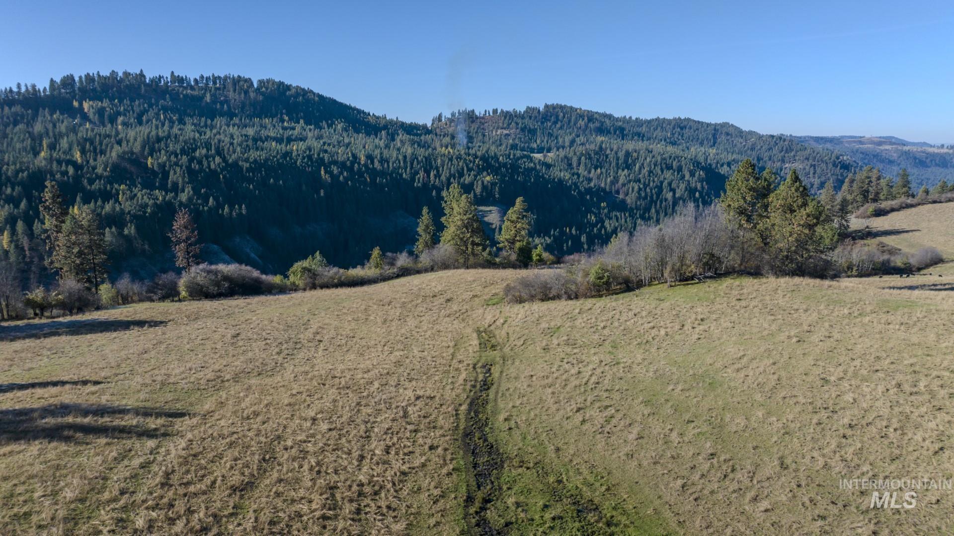 NKA 320acs Summer Rd, Orofino, Idaho 83544, Land For Sale, Price $2,200,000, 98893920