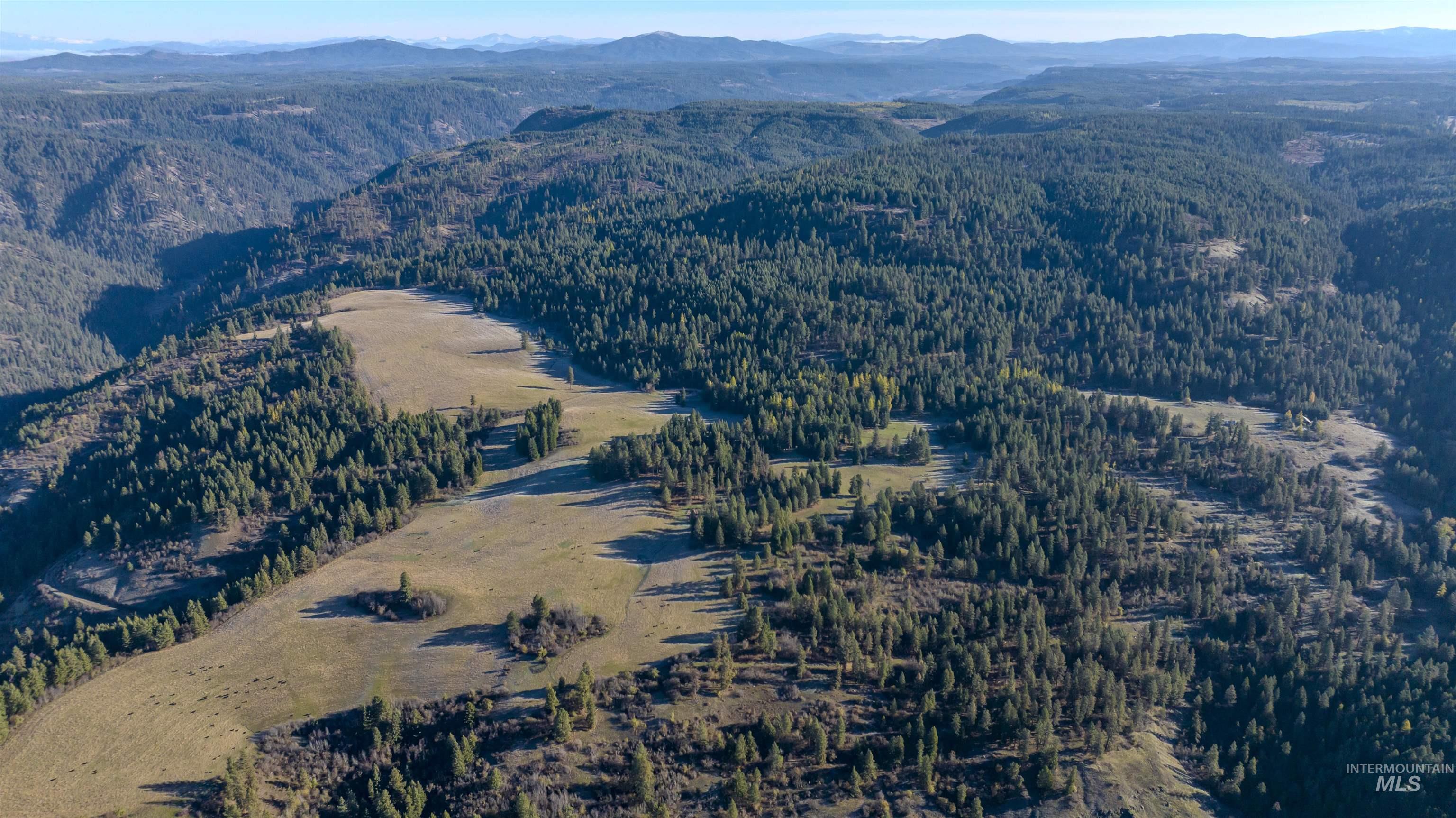 NKA 320acs Summer Rd, Orofino, Idaho 83544, Land For Sale, Price $2,200,000, 98893920