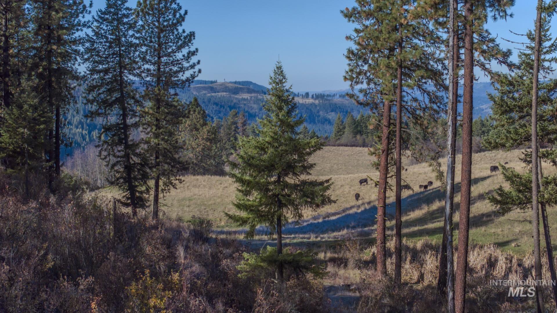 NKA 320acs Summer Rd, Orofino, Idaho 83544, Land For Sale, Price $2,200,000, 98893920