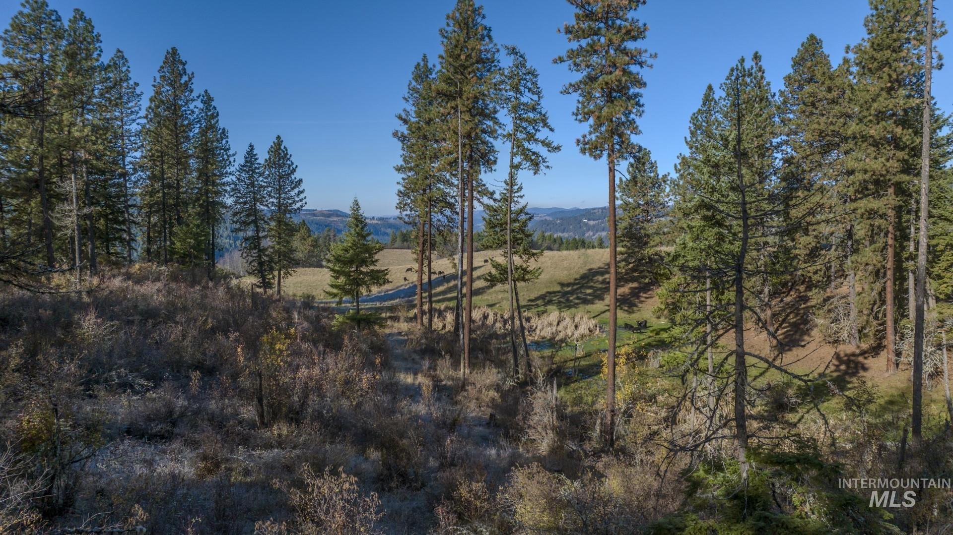 NKA 320acs Summer Rd, Orofino, Idaho 83544, Land For Sale, Price $2,200,000, 98893920