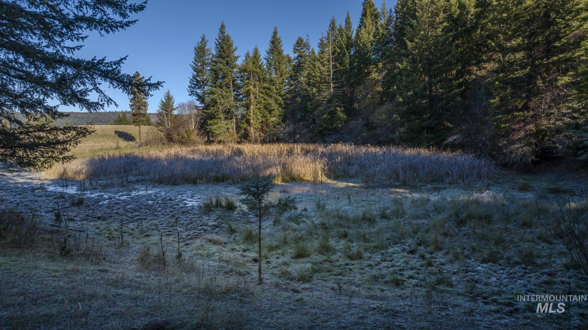 NKA 320acs Summer Rd, Orofino, Idaho 83544, Land For Sale, Price $2,200,000, 98893920