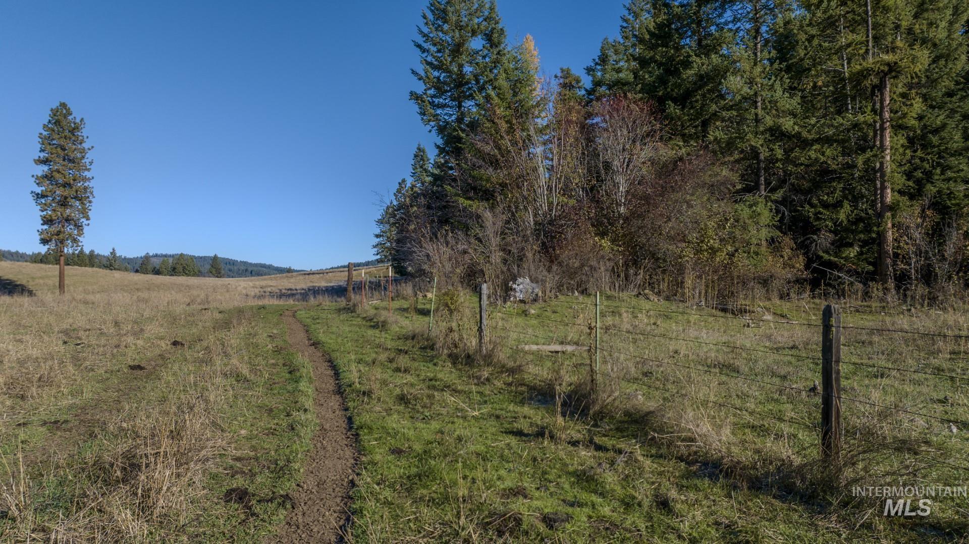 NKA 320acs Summer Rd, Orofino, Idaho 83544, Land For Sale, Price $2,200,000, 98893920